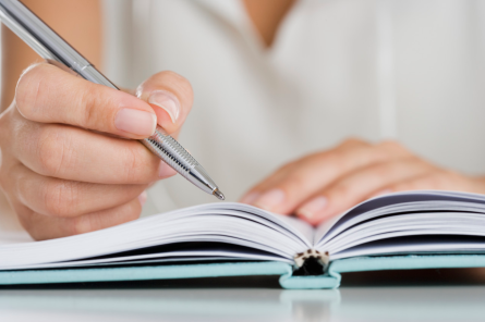 A picture showing entries into a reflective journal